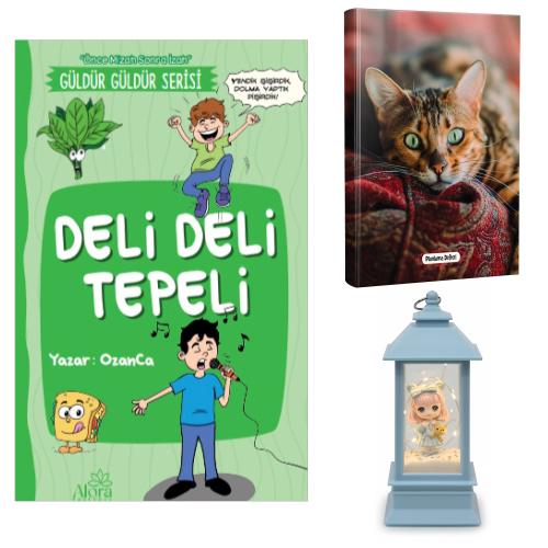 Deli Deli Tepeli - Şaşkın Kedi Planlama Defteri ve Ayıcıklı Kız Fener Tipi Işıklı Kar Küresi