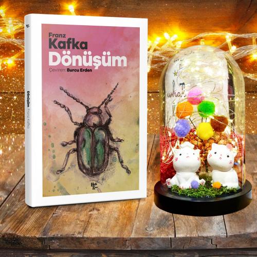 Dost Kediler Teraryum Hediye Seti - Dünya Klasiği Dönüşüm