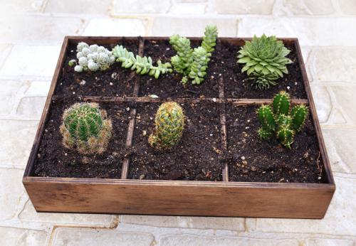 6 Göz Ahşap Çiçeklik