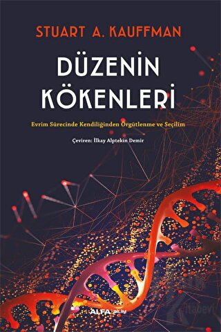 Düzenin Kökenleri