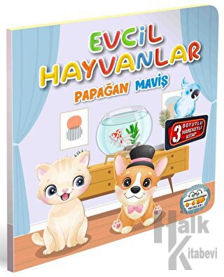 Evcil Hayvanlar Papağan Maviş