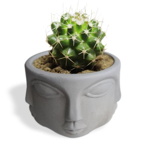 Faced Beton Saksı, Küçük Boy