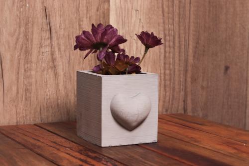 HK Dekor Kalp Motifli Kare Beton Saksı