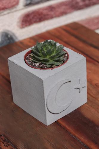 HK Dekor Ay Yıldız Motifli Beton Saksı - Halkkitabevi