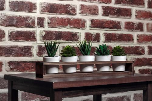 5'li Ahşap Sukulent Standı - Halkkitabevi