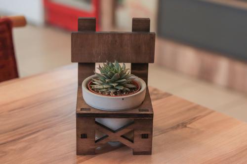 Lora Beton Saksılı Ahşap Sandalye