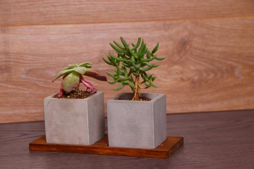 HK Dekor Beton Saksı Takımı - Halkkitabevi