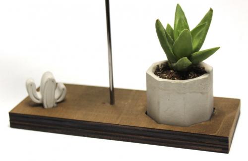 Kalp Home, Altıgen Beton Saksı ve Beton Kaktüs - Halkkitabevi