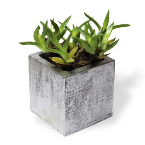 Kare Beton Saksı Gümüş