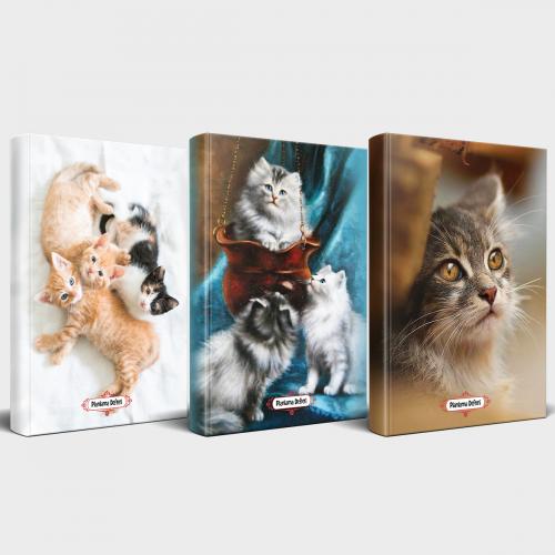 Kedili Defter Seti - 3 Defter V2 - Halkkitabevi