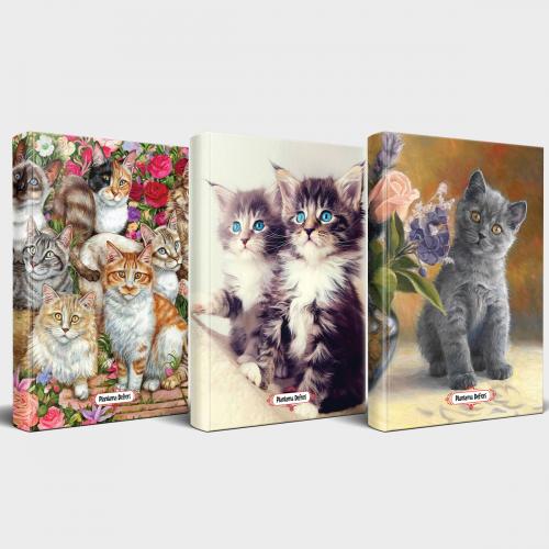 Kedili Defter Seti - 3 Defter V4