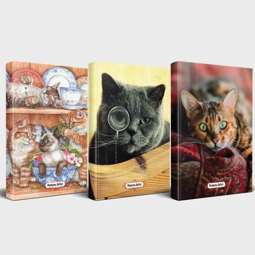 Kedili Defter Seti - 3 Defter V5