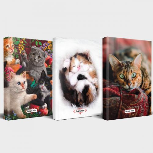 Kedili Defter Seti - 3 Defter V6