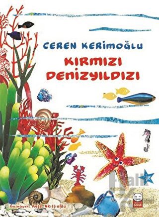 Kırmızı Denizyıldızı