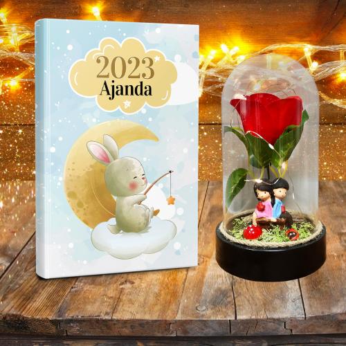 Kırmızı Gül ve Sevgililer Teraryum Hediye Seti - Ay Tavşanı Dünya Klasiği