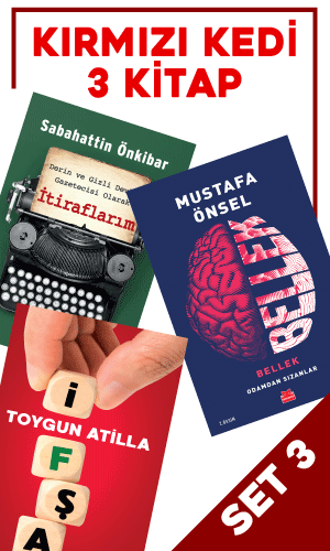 Kırmızı Kedi Set 3