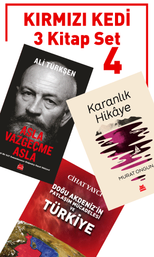 Kırmızı Kedi Set 4