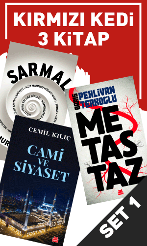 Kırmızı Kedi Set 1