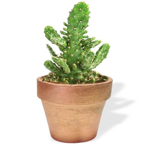 Klasik Beton Saksı Bakır