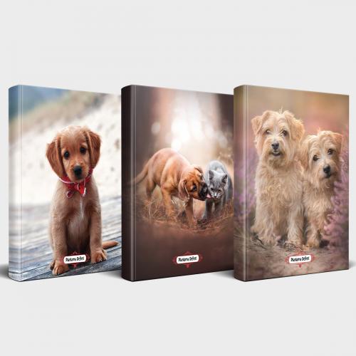 Köpek Temalı Defter Seti 3'lü v2