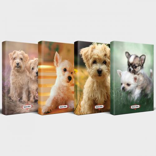 Sevimli Köpekler 4'lü Planlama Defteri Seti - Halkkitabevi