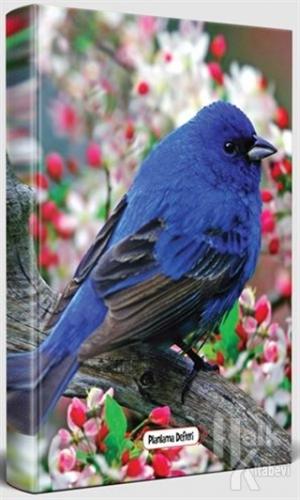 Kuş Bakışı - Süresiz Planlama Defteri