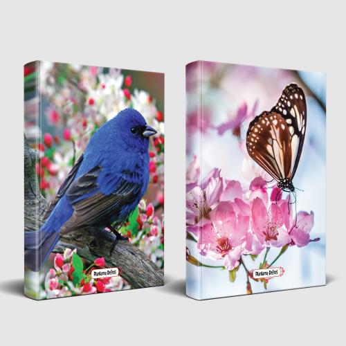 Sevimli Hayvanlar Defter Kuş Bakışı ve Kelebek Etkisi - Halkkitabevi