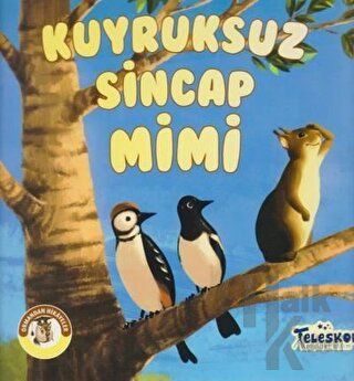 Kuyruksuz Sincap Mimi - Ormandan Hikayeler