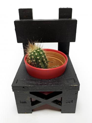 Lora Sandalye Siyah Çiçeklik