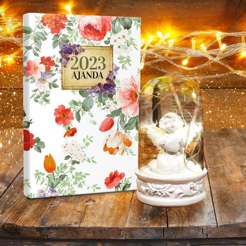 Melek Teraryum Seti - Beyaz Düş - Halkkitabevi