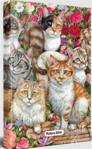 Meraklı Kediler - Planlama Defteri