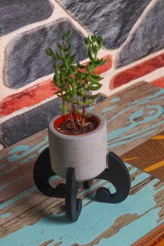 Mia H Standlı Büyük Silindir Beton Saksı - Halkkitabevi