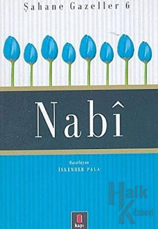 Nabi Şahane Gazeller 6 (Ciltli) - Halkkitabevi