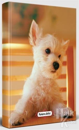 Pamuk Seker - Süresiz Planlama Defteri