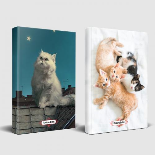 Pamuk ve Oyuncu Kediler Planlama Defteri - Halkkitabevi