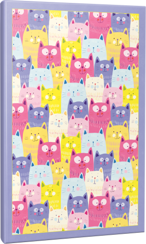 Renkli Kulaklar 64 Sayfa Çizgili Okul Defteri