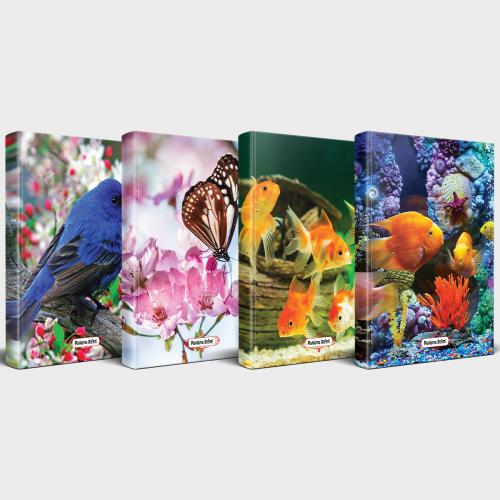 Sevimli Hayvanlar Defter Seti 4'lü v1