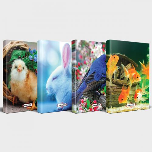 Sevimli Hayvanlar Defter Seti 4'lü v3