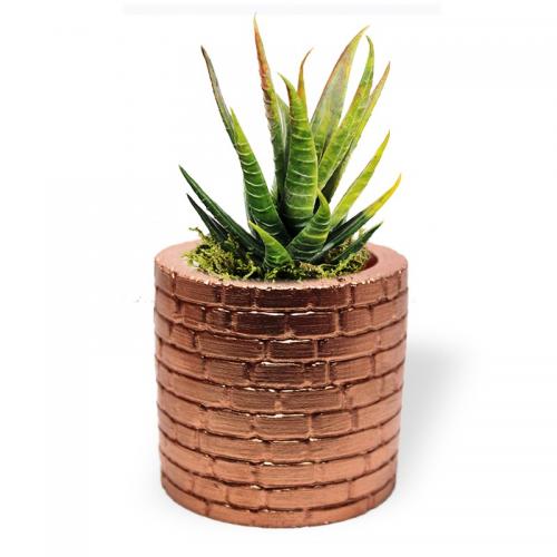 Betigo Duvar Desenli Beton Sukulent Saksısı Bakır