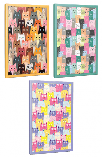 Sivri Kulaklar 3lü 64 Sayfa Çizgili Okul Defteri Seti -3