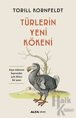 Türlerin Yeni Kökeni