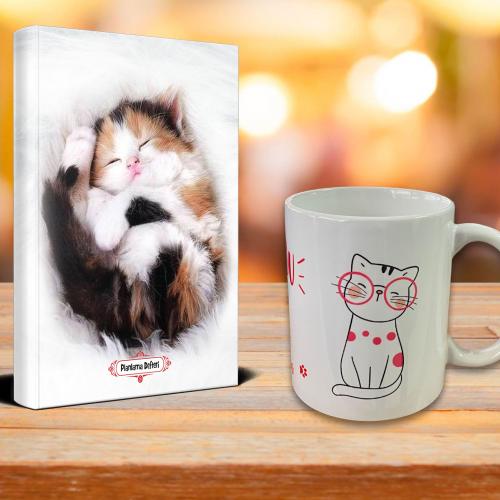 Uykucu Kedi Ajanda Sevimli Kedi Kupa Seti - Halkkitabevi
