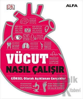 Vücut Nasıl Çalışır (Ciltli)