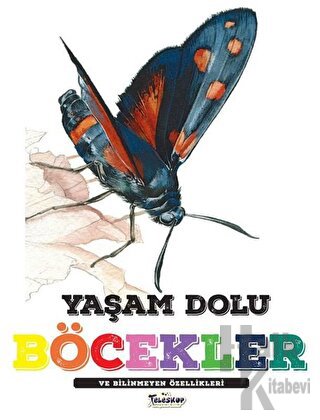 Yaşam Dolu Böcekler ve Bilinmeyen Özellikleri - Halkkitabevi
