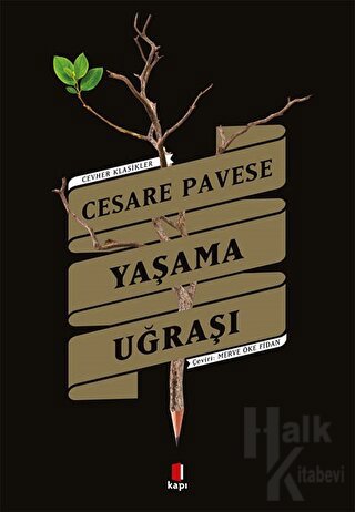 Yaşama Uğraşı